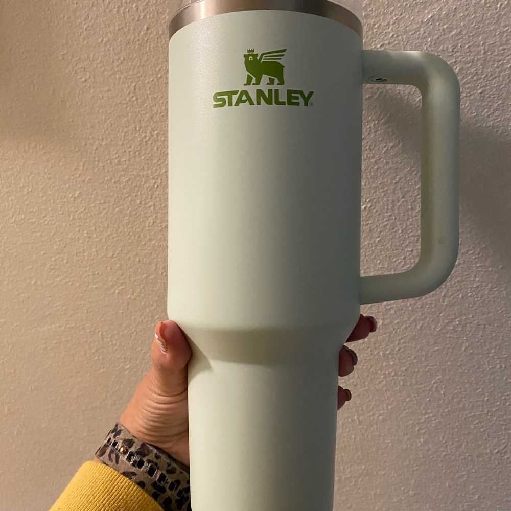 Stanley Green Divine 40oz H2O
